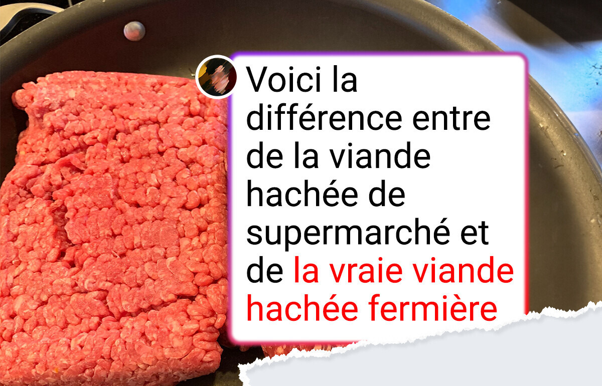 15 Photos qui prouvent que tout se comprend par comparaison