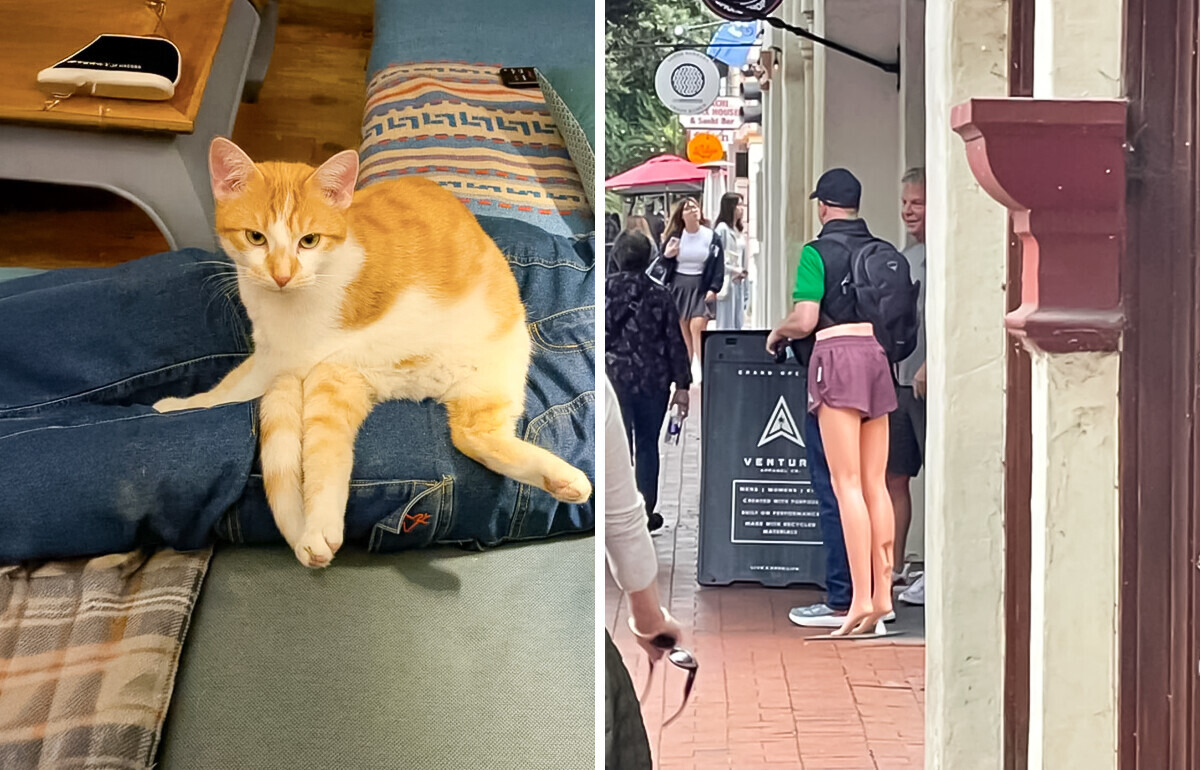 15 Images déroutantes qui prouvent que tout dépend de la perspective
