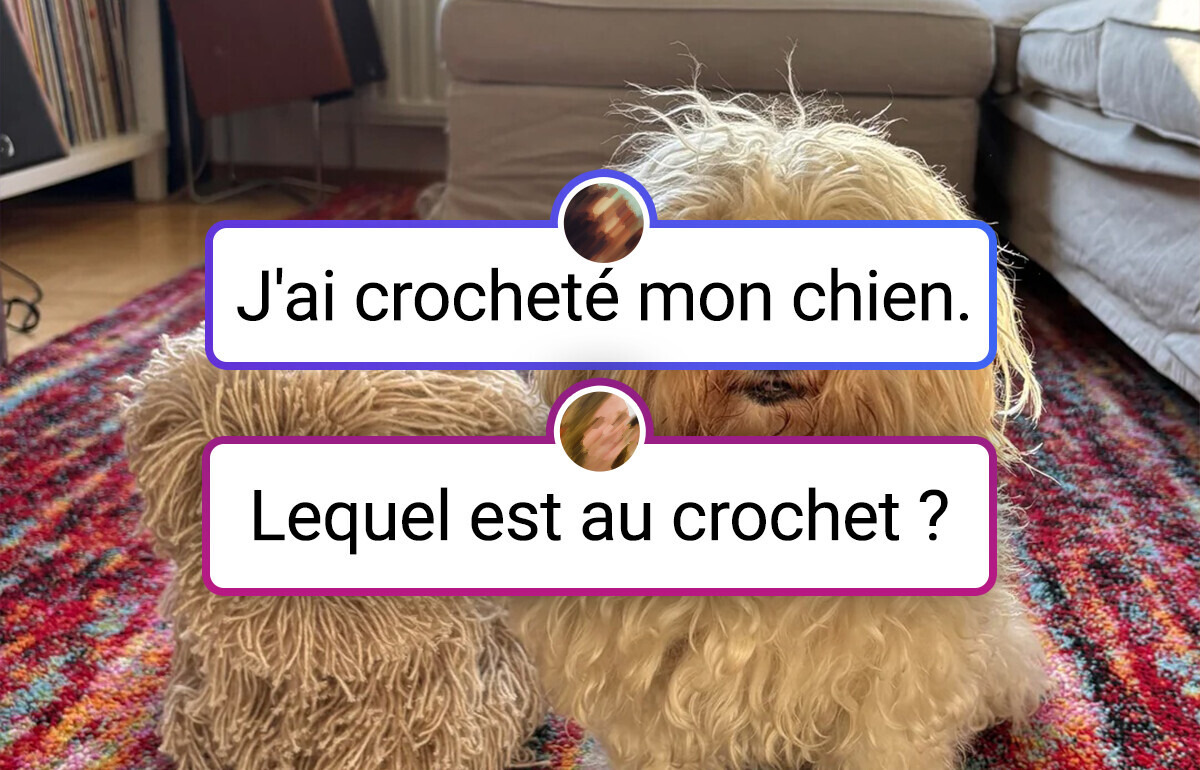26 Maîtres du crochet qui transforment la laine en véritables merveilles