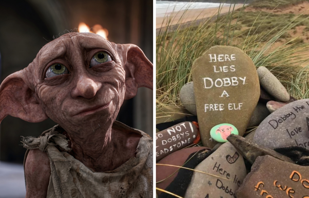Des fans de Harry Potter font déplacer un câble à 500 millions d’euros pour sauver la “tombe” de Dobby Des fans de Harry Potter font déplacer un câble à 500 millions d’euros pour sauver la “tombe” de Dobby