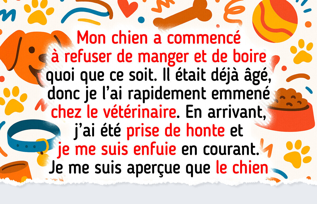 20 Anecdotes vétérinaires si drôles qu’elles en feraient presque oublier la facture 20 Anecdotes vétérinaires si drôles qu’elles en feraient presque oublier la facture