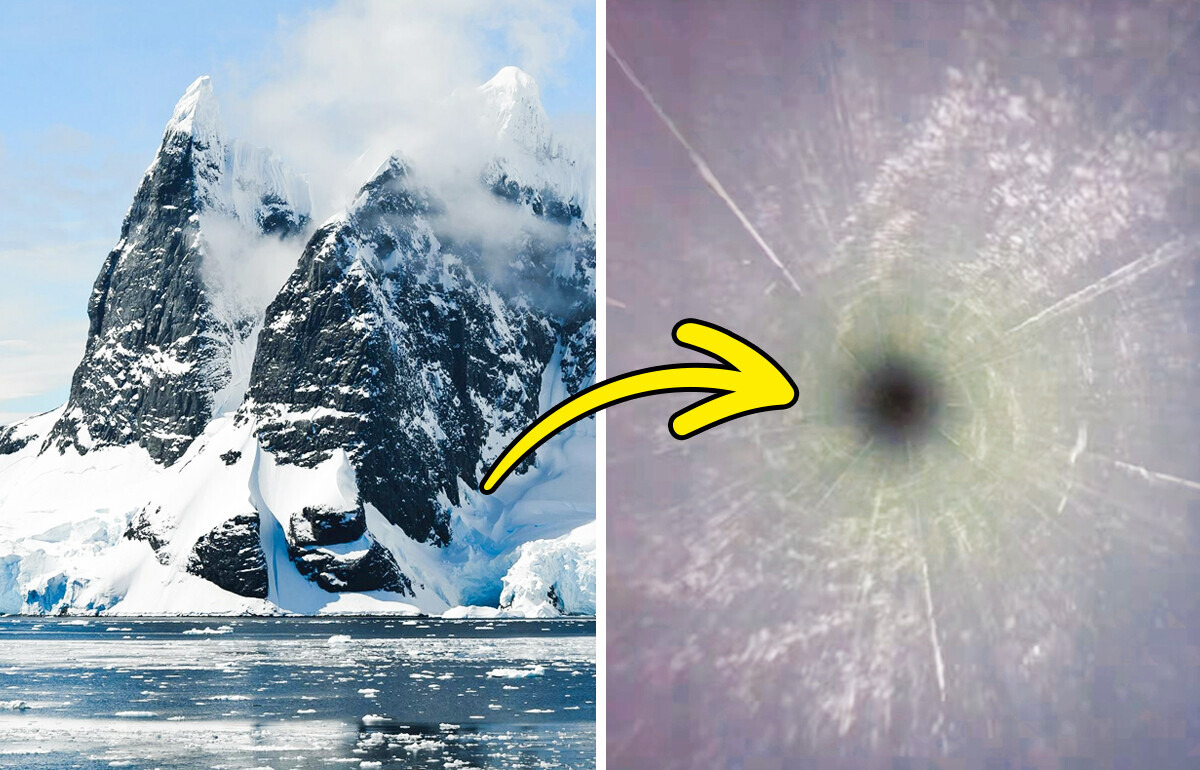 Une caméra plongée en Antarctique dévoile un monde caché