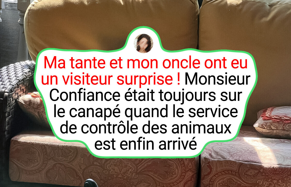 20+ Personnes qui ont eu une rencontre hilarante avec la nature sauvage
