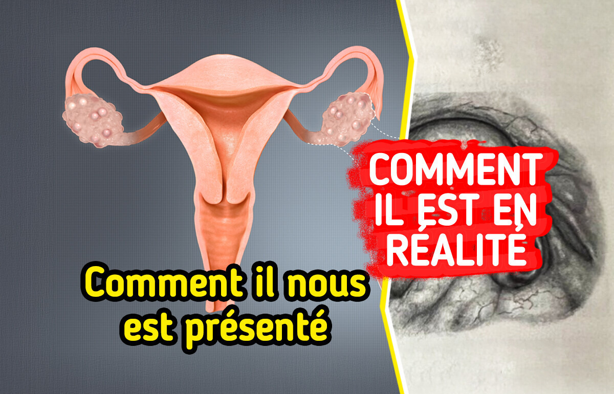 10 Faits incroyables sur le corps humain que peu de gens connaissent
