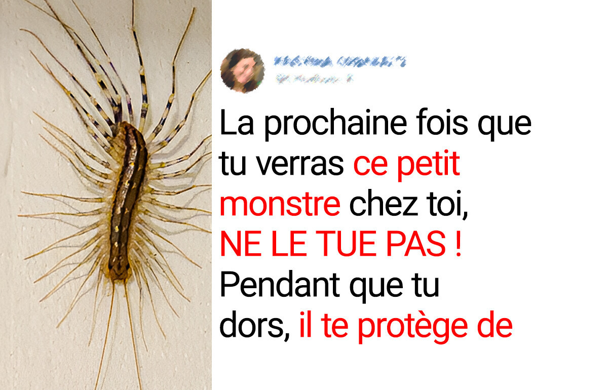 8 Animaux qui aident à sauver la planète (et toi !) chaque jour 8 Animaux qui aident à sauver la planète (et toi !) chaque jour