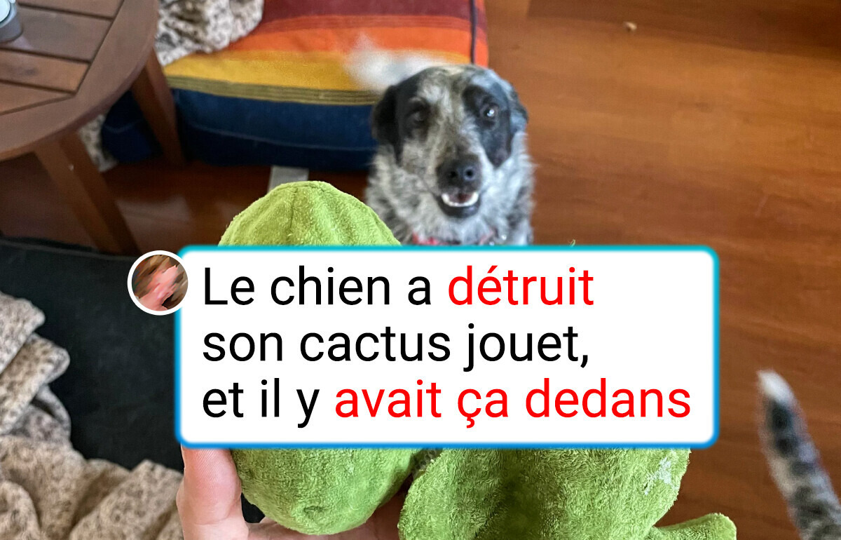 15 Designers dont la créativité est allée bien trop loin
