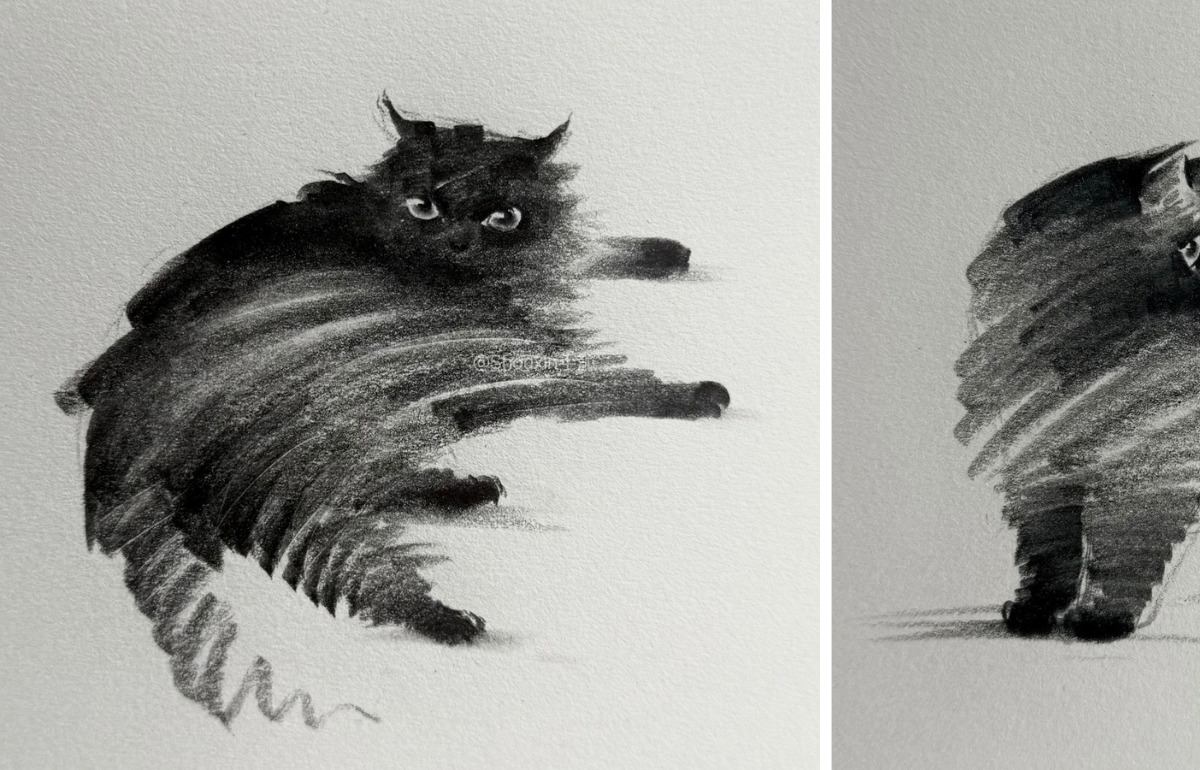 Cet artiste dessine des chats en quelques traits, et pourtant on reconnaît tout de suite leur caractère