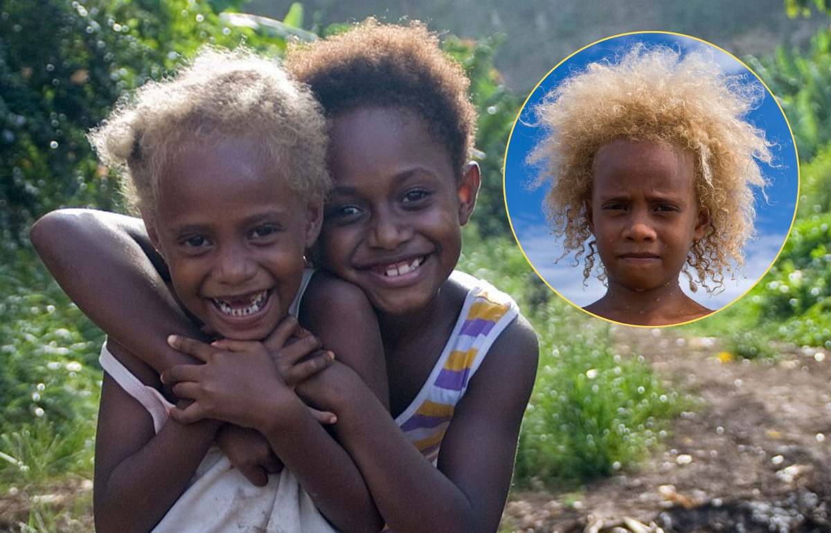 Ils ont naturellement la peau foncée et les cheveux blonds : le mystère génétique des Mélanésiens Ils ont naturellement la peau foncée et les cheveux blonds : le mystère génétique des Mélanésiens
