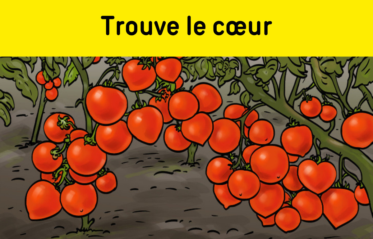 Peux-tu trouver les formes cachées dans ces images ?