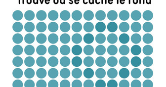 Seuls les yeux les plus attentifs trouveront les formes cachées dans ces images
