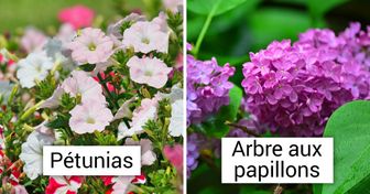 12 Types de fleurs qui attireront les colibris dans ton jardin