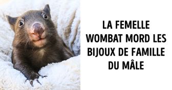 23 Faits déconcertants sur les animaux qui vous laisseront bouche-bée