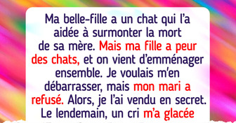 J’ai secrètement vendu le chat de ma belle-fille parce que ma fille en avait peur, mais tout a dégénéré