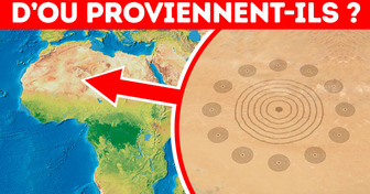 De Mystérieux Cercles Dans le Sahara : D’où Proviennent-Ils ?