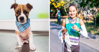 Une jeune femme a sauvé un chiot perdu lors d’un marathon de 41 kilomètres, et cela a complètement changé sa vie