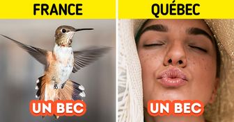 16 Expressions québécoises difficilement compréhensibles par les Français