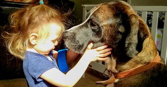 10 Conseils pour apprendre aux enfants à respecter et à aimer les animaux dès leur plus jeune âge