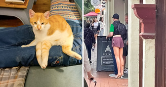 15 Images déroutantes qui prouvent que tout dépend de la perspective