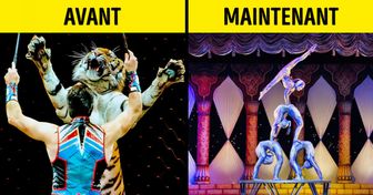 10 Pays qui ont interdit les animaux dans les cirques, prouvant ainsi qu’il est possible de faire des spectacles libres de cruauté