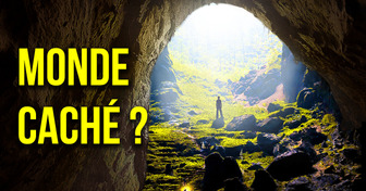 La plus grande grotte du monde (avec jungle et labyrinthes) est encore plus vaste que prévu