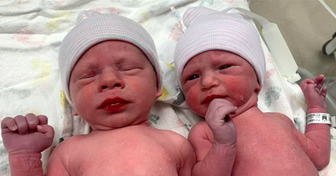 Un couple accueille des jumeaux issus d’un don d’embryons congelés 30 ans auparavant