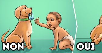 8 Astuces pour préparer ton animal de compagnie à l’arrivée de ton bébé