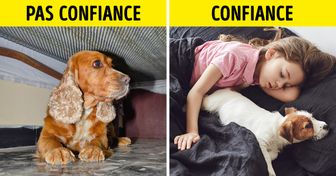 8 signes qui prouvent que ton chien a confiance en toi