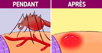 Qu’arrive-t-il à ton corps lorsqu’un moustique te pique ?