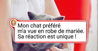 20 Animaux adorables qui vont te redonner le sourire pour la journée