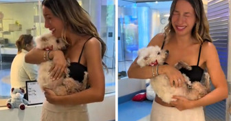 Elle pensait avoir perdu son chien pour toujours... 4 ans plus tard, un appel a tout changé