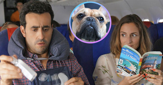 Un couple subit les pets d’un chien pendant 13 heures de vol, voici ce qu’ils réclament à la compagnie aérienne