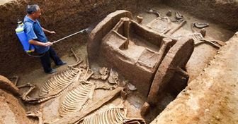 10 Incroyables trouvailles archéologiques qui ont été découvertes de façon accidentelle