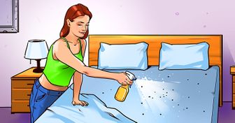 12 Manières astucieuses de se débarrasser des punaises de lit pour toujours