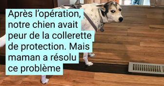 16 Maîtres qui ont créé une relation unique avec leurs animaux de compagnie