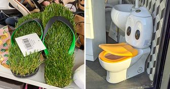 16 Designers qui risquent de perdre très rapidement leur travail (nouvelle sélection)