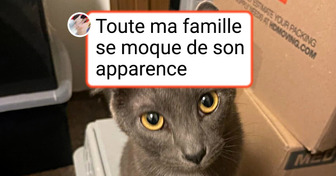 15 Animaux que la nature a récompensés avec une touche d’originalité