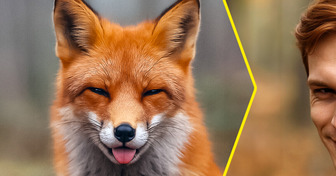 Voici à quoi ressembleraient 14 animaux s’ils devenaient humains