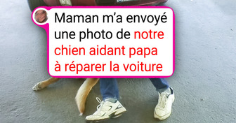 18 Photos qui montrent que les animaux nous comprennent bien plus qu’on ne le pense