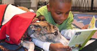 Des enfants lisent des histoires aux animaux d’un refuge et améliorent leur humeur