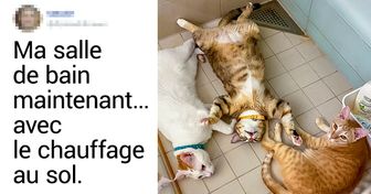 20+ Photos qui montrent comment la vie change lorsque de petites boules de poils débarquent chez toi