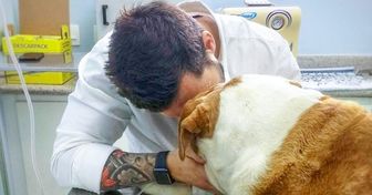 Ce vétérinaire révèle ce que font nos animaux de compagnie avant de mourir