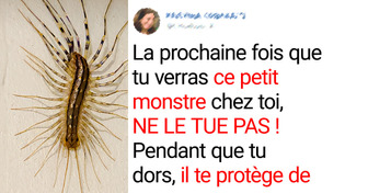 8 Animaux qui aident à sauver la planète (et toi !) chaque jour