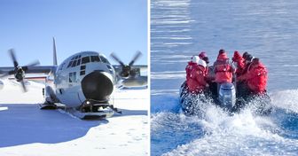 On recherche 5 volontaires pour participer à une expédition en Antarctique, et aucun amoureux de voyages ne devrait rater cette opportunité
