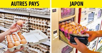 14 Faits sur la vie au Japon qui provoquent beaucoup de questions chez les étrangers