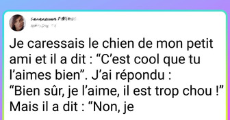 18 Tweets dans lesquels tous les propriétaires de chats et de chiens devraient se reconnaître