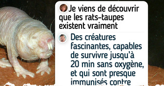 10 Animaux étranges qui paraissent effrayants mais sont totalement inoffensifs