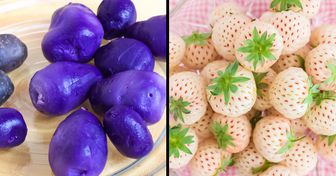 10 Fruits et légumes dont les couleurs vont te laisser bouche bée
