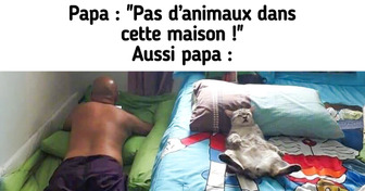 24 Photos qui prouvent que les animaux conquièrent tous les cœurs