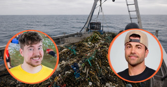 Ils ont transformé une campagne en ligne en immense opération de nettoyage des océans