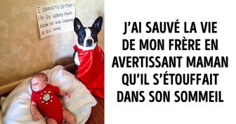 20 Animaux enthousiastes qui savent comment rendre ce monde meilleur